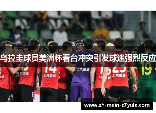 乌拉圭球员美洲杯看台冲突引发球迷强烈反应 乌拉圭球员美洲杯看台冲突引发球迷强烈反应